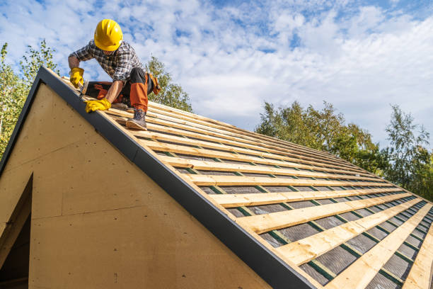Best Roof Maintenance Services  in Edgewood, MD