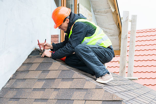 Roof Gutter Cleaning in Edgewood, MD